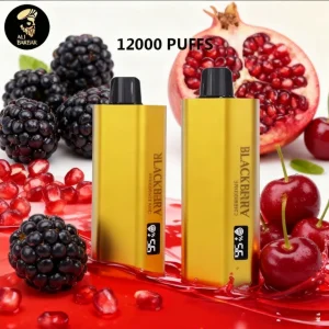 Alibarbar TEQ 12000 Puffs-Blackberry Poegranate Cherry - Blackberry Poegranate Cherry