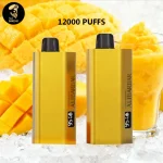 Alibarbar TEQ 12000 Puffs-10 packs(Ship from overseas)