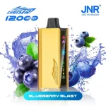 JNR Cruiser 12000 Puffs –Blueberry Blast
