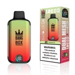Bangbox 18000 Puffs – Multiple Flavor - Blueberry ice