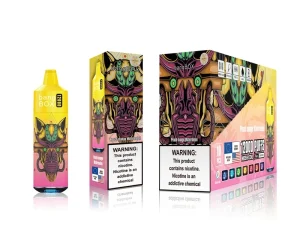 Bangbox 12000 Puffs Disposable Vape – Multiple Flavor - Image 2