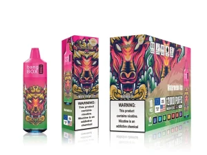 Bangbox 12000 Puffs Disposable Vape – Multiple Flavor - Image 6