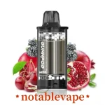 Blackberry cherry Pomegranate Ice - GUNNPOD - 8000Puffs