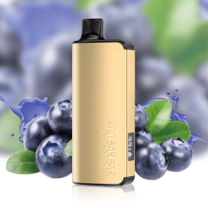 ALIBARBAR INGOT 9000 PUFFS – Blueberry Mint