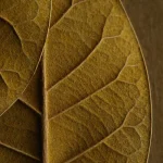 RELX MagicGo 4000 Tobacco (Gold) - Image 2