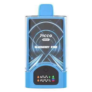 Picco Break 30000 Puffs – Blueberry Kiwi