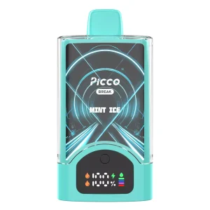 Picco Break 30000 Puffs – Mint Ice