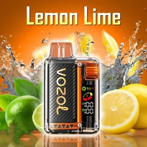 Vozol Vista 20000 puffs - 10 packs or more