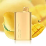 Alibarbar Rich 8000 Puffs - Mango Magic